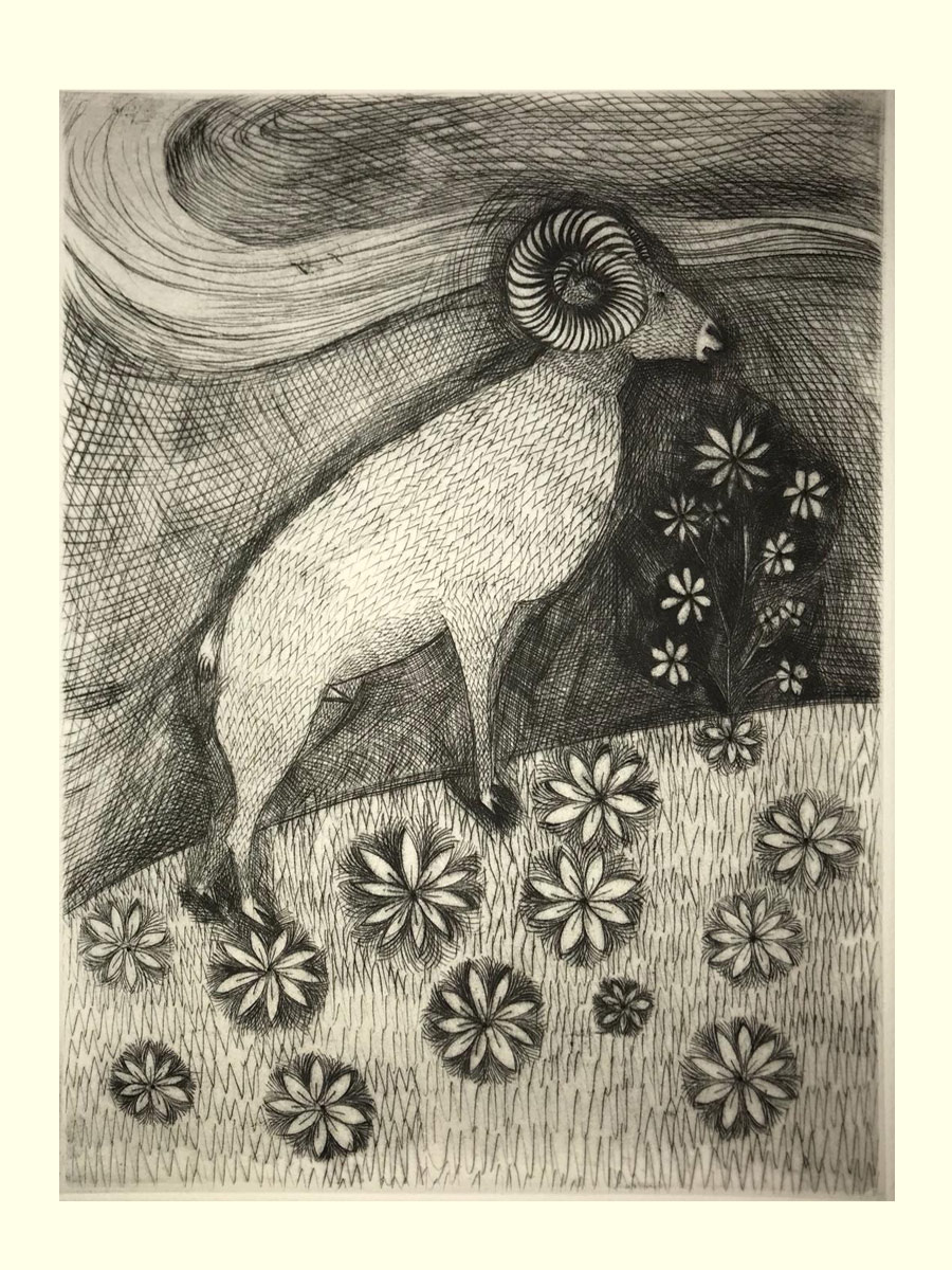 Ariete