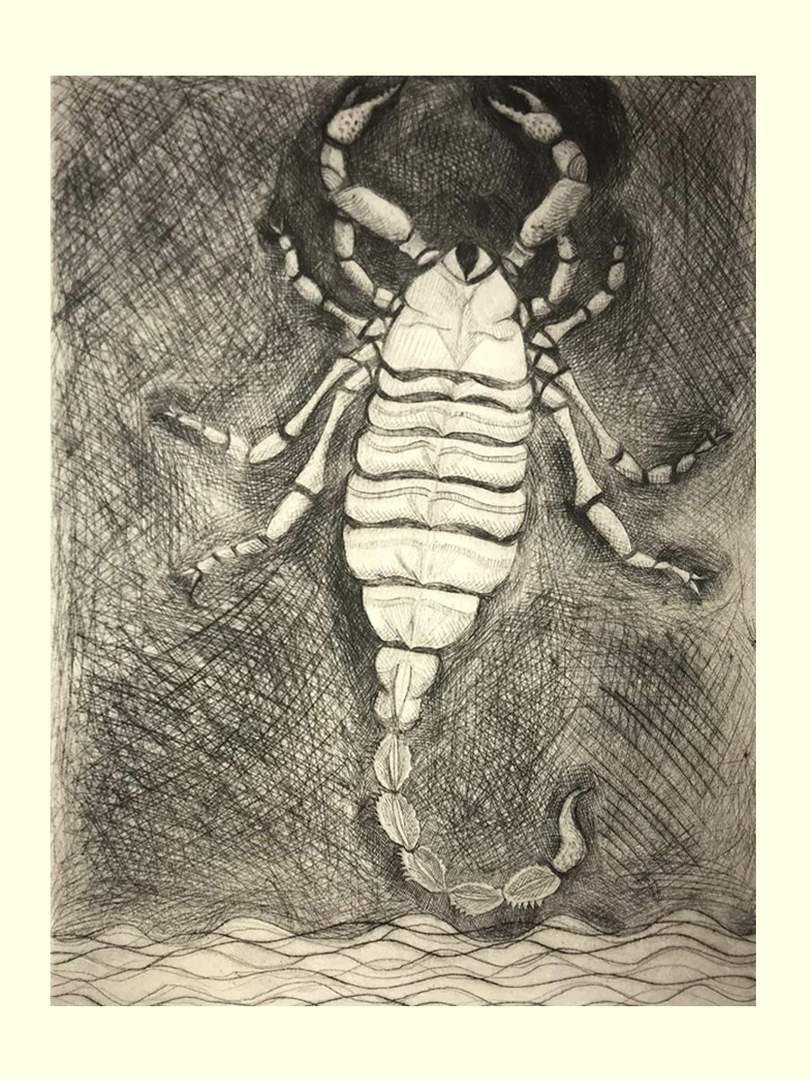 Scorpione