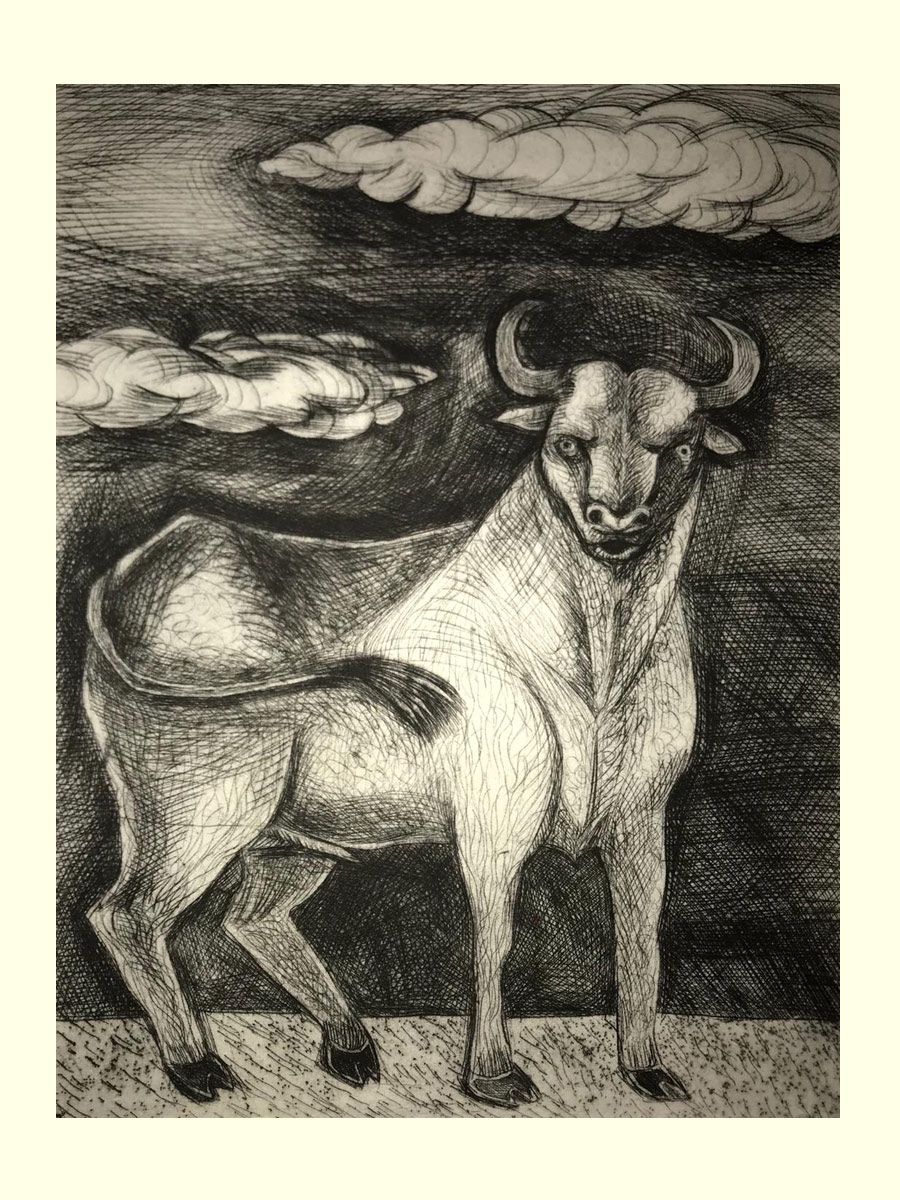 Toro